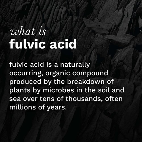 blk. Mineral Drops, 2oz, Alkaline Water Drops with Concentrated Fulvic Minerals, Bioavailable Fulvic & Humic Acid Extract, Trace Minerals, Electrolytes to Hydrate, Repair & Restore Cells