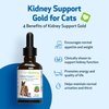 Pet Wellbeing Kidney Support Gold for Cats - Vet-Formulated - Supports Healthy Kidney Function in Cats - Natural Herbal Supplement 2 oz (59 ml)