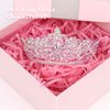 CIEHER Pink Small Crown for Girls Cake Topper Mini Crown Girls Princess Tiara Birthday Crown Wedding Cake Flower Decorations