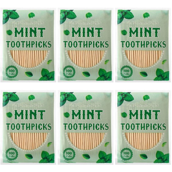 600 Pcs Mint Toothpicks Bulk Flavor Menthol Toothpicks Wood Flavored Toothpicks for Adults Natural Wooden Tooth Pick for Humans Teeth Oral Dental Health