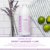 Sapadilla Sweet Lavender + Lime Biodegradable All-Purpose Cleaner Concentrate, 25 Ounce