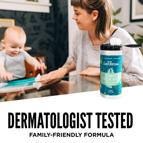 Aunt Fannie's Natural Cleaning Vinegar Wipes, Multipurpose Surface Cleaner, Eucalyptus Scent, 35 Count (Pack of 1)