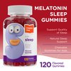 Zahler - Chapter One Sleep Melatonin Gummies for Kids & Adults (120 Flavored Gummies) - 2.5 mg Melatonin Gummy - Kids Melatonin Kosher Sleep Gummies - Natural Kids Melatonin Gummy for Sleeping