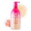 HIMALAYA PINKSALT Daily Scrub & Body Wash - Exfoliating Body Scrub, Dead Sea Salt & Himalayan Pink Salt, Natural Moisturizing Body Wash, Retinol & Hyaluronic Acid Shower Gel, Korean Skincare 21.1oz