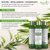 "Tea Tree & Eucalyptus" Sulfate-Free Caffeine SHAMPOO, Anti-Thinning Shampoo, Thickening Shampoo for Thinning Hair, Hair Loss Shampoo, Thickening Products For Women & Men, Hair Growth Shampoo