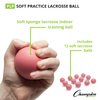 Champion Sports Sponge Lacrosse Balls: Soft Touch for Professional, College and Grade School Indoor Outdoor Training and Practice - 12 Pack, Pink-Sponge