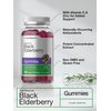 Horbaach Sambucus Black Elderberry Gummies | 120 Count | with Zinc and Vitamin C | Vegan, Non-GMO, Gluten Free Extract for Adults | Natural Berry Flavor