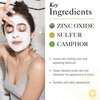 GOLDFADEN MD Facial Detox Mask | Clarifying Face Mask w/Zinc Oxide, Sulfur, Salicylic Acid & Grapefruit | Purifying Deep Clean | Minimizes the Appearance of Redness, Blackheads & Pores .5 fl oz