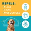 Only Natural Pet EasyDefense Flea & Tick Dog Collar - Canine Flea Collars Flea and Tick Control - Pet Flea Care That Protects up to 4 Months - for Dogs (Single)