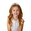 9th Birthday Sash and Tiara Set Rose Gold Birthday Sash Crown Birthday Party Favors Supplies for Girls Birthday Party