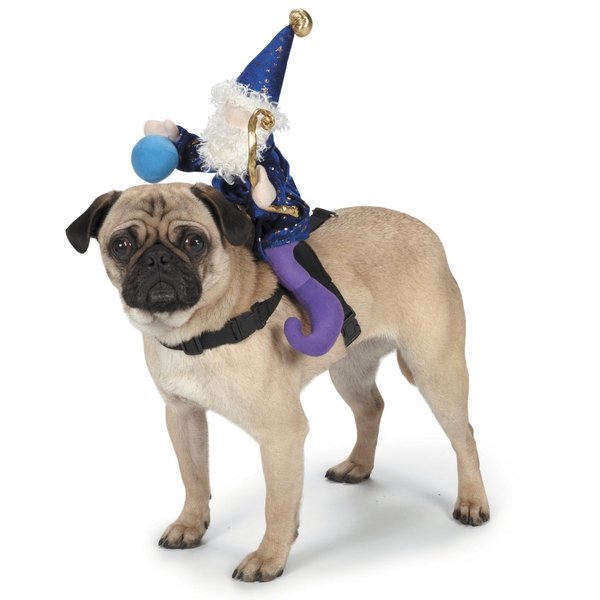 Zack & Zoey Wizard Saddle Dog Costume, Small