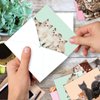 The Best Card Company - 20 Adorable Cat Greeting Cards (4 x 5.12 Inch) - Blank Assortment (10 Designs, 2 Each) - Litters Letters AM7058OCB-B2x10