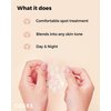 COSRX Master Patch Basic Value Pack, Overnight Acne Patch Hydrocolloid, Blemish Spot Sticker for Face, Strong adhesion & Thicker Spot Cover, 1 Sizes (90 Count)