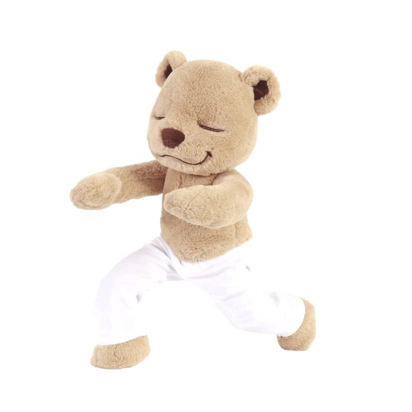 Meddy Teddy | The Yoga Bear