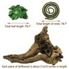 Hamiledyi Reptile Driftwood Branch Decor Terrarium Ornament Wood Climbing Natural Aquarium Driftwood Decoration for Snake Bearded Dragon Leapord Gecko Lizard Iguana Chameleon