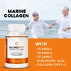 VITASEI Salmoflex Marine Collagen Peptides Pills W/Hyaluronic Acid, Vitamin C, D, E | Salmon Supplements - Hair, Skin, Nails | Multivitamin for Women & Men | Knee, Joint Relief - 60 Capsules
