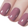 Vishine Gelpolish Gel Nail Polish Lacquer Shiny Color Soak Off UV LED Professional Manicure LightCoral(1592)