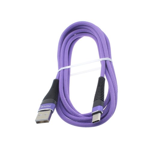 10ft USB Cable Purple Type-C Compatible with Apple iPhone 16/Plus/Pro/Pro Max, Charger Cord Power Wire USB-C Long