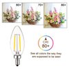 SHUWDKAR 12V Candelabra LED Light Bulb Low Voltage 25 watt Equivalent, 12V LED Bulb E12 3000K 24volt Candelabra Light Bulbs for RV, 6 Pack