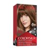 REVLON Colorsilk Beautiful Hair Permanent Hair Color, 43 Medium Golden Brown, 1.45 lb (RK-76775)