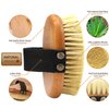 ICANdOIT-High Strength Dry Body Brush for Skin,Natural Bristle Exfoliating Massage Brush for Cellulite and Lymphatic,Stiff Tampico Improve Circulation,Stop Ingrown Hairs,Reduce Acne,Soften Skin