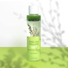 Freeman Exotic Blends Deep Cleansing English Willow Toner, Removes Makeup, Dirt, & Impurities, Clarifying Facial Toner, Pore-Minimizing, Hydrating Skincare Essential, 6.1 fl.oz./180 mL Bottle