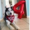 Number 5 Balloon Red 40 Inch, 5 Year Old Girl Boy Birthday Gift, 5 15 25 35 45 50th 55 Birthday Anniversary 2025 Party Decorations, 5 Foil Balloon for Miles Morales Birthday Party Decorations