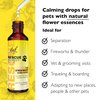 Bach RESCUE Remedy PET Dropper 20mL, Natural Stress Relief, Calming for Dogs, Cats, & Other Pets, Homeopathic Flower Essence, Thunder, Fireworks & Travel, Separation, Sedative-Free, 2-Pack