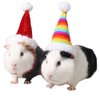 ANIAC Christmas Hamster Hats Guinea Pig Costume Mini Santa Hat for Kitten Chinchilla Rabbit Bunny Hedgehog Ferret Squirrel Rats Duck Gerbil Newborn Puppy (Stripe+Rainbow)…