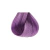 Kiss Tintation Semi-Permanent Hair Color Treatment 148 mL (5 US fl.oz) (Orchid)