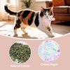 Andiker Catnip Toys for Cat, 3 Pack Cat Chew Toy with Catnip and Crinkle Sound for Chewing Biting, Cat Interactive Toy for Indoor Cats Exercising Chasing Kicking