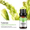 2 Pack Tuberose Essential Oil 100% Pure Oganic Plant Natrual Flower Essential Oil for Diffuser Message Skin Care Sleep 10ML