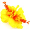 Double Yellow Hibiscus Silk Flower Hair Clip with Teeth