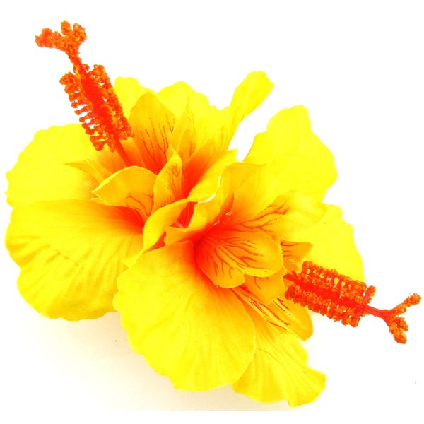 Double Yellow Hibiscus Silk Flower Hair Clip with Teeth
