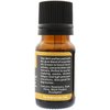 Plantlife Study Buddy Aromatherapy Essential Oil Blend - Straight from The Plant 100% Pure Therapeutic Grade - No Additives or Fillers - Made in California 10 ml