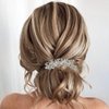 Brihasory Crystal Bride Wedding Hair Comb Silver Rhinestone Bridal Hair Accessories for Bride Party Prom Head Pieces Flower Hair Sides Elegant Hair Clips for Women and Girls Bridesmaids Gifts