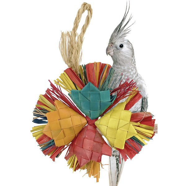 Bonka Bird Toys 03394 Small Happy Holly 7" High by 4" Wide, Small Parrot Shredder Cage Toy, Parrotlet, Budgie, Lories, and Similar Birds