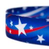 Country Brook Petz - 1/2 Inch Star Spangled Dog Leash - 4 Feet