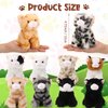 Lenwen 10 Pcs Cat Stuffed Animals Bulk Soft Cuddly Kitten Plush Sets Smitten Kittens Assorted Fluffy Stuffed Cats for Kiddos Birthday Graduation Gift Party Goodie Bags Stuffers(Sitting Style)