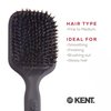 Kent AH13G Airhedz Pro Pure Bristle Paddle Brush (Medium, Grey) - for Smoothing and Finishing