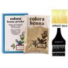 Colora HENNA POWDER Natural Organic Haircolor, Hair Color Dye Conditioner & Thickener with Plants, Water, and No Chemicals (w/Sleek Brush) 2 oz. (Apricot Gold - 2 oz)
