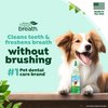 TropiClean Fresh Breath for Dogs | No Brush Dental Gel for Dogs | Dog Dental Gel & Toothpaste for Plaque, Tartar & Stinky Breath | Made in the USA | 4 oz.