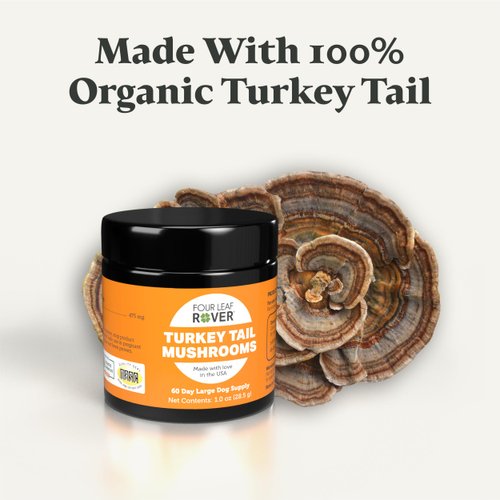 Four Leaf Rover Turkey Tail Mushroom for Dogs - Whole, Organic Mushrooms - Tested High in Critical Beta-Glucans - No Grains or Fillers - 60 Day Large Dog Supply