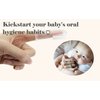 haakaa Silicone Baby Finger Toothbrush Set -360º Bristle for Baby Oral Gum Cleaning| Baby Teething Training| Newborn Oral Massager, BPA Free,2PK - 0m+Babies - Clear