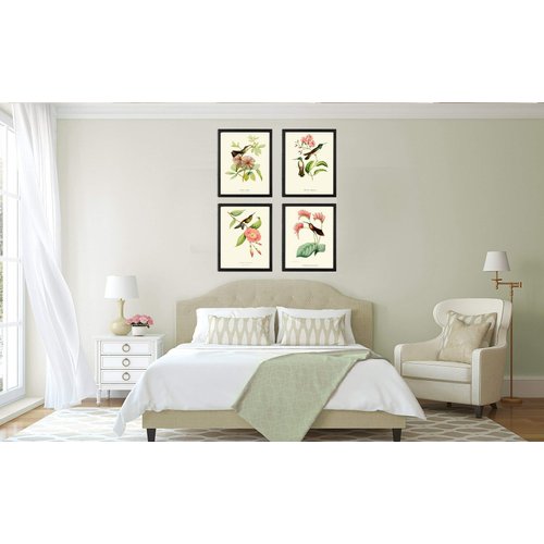 Hummingbirds Botanical Print Set of 4 Art Antique Beautiful Tripical Birds Flowers Plants Illustration Home Room Decor Wall Art Unframed