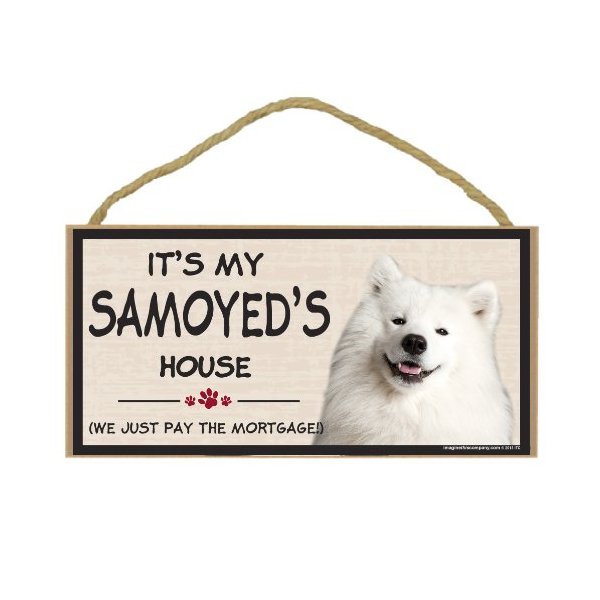 Imagine This Wood Breed Decorative Mortgage Sign, Samoyed