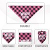Dog Birthday Bandana - Girl Dog Birthday Hat with Number - Dog Birthday Supplies for Small and Medium Dog Pet