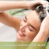 Cliove Shampoo | Hair Moisturizing Keratin Protein Treatment Infused with Argan Oil and Olive Oil | Anti Frizz Shampoo for Curly Wavy, and Straight Hair |16oz