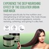 Hair Mask, Nutrition & Strength for All Hair Types ECOLATIER, URBAN Series - Intensive Nourishment for Enhanced Smoothness and Shine, Avocado Oil - 12.9 Fl Oz