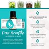 Rocky Mountain Oils Deep Breathe Essential Oil Blend Essential Oils - Aromatherapy Oils for Diffuser and Topical - Relaxing Essential Oils - 15ml